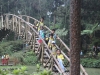 IMG_7907 (800x533)
